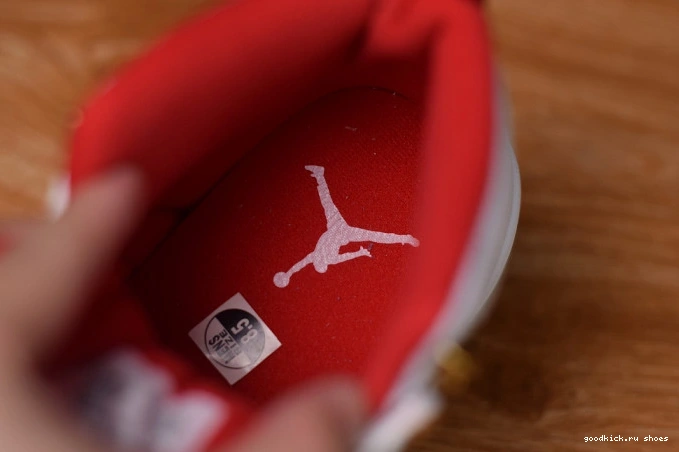 (2019) Air Jordan 130690-107 12 
